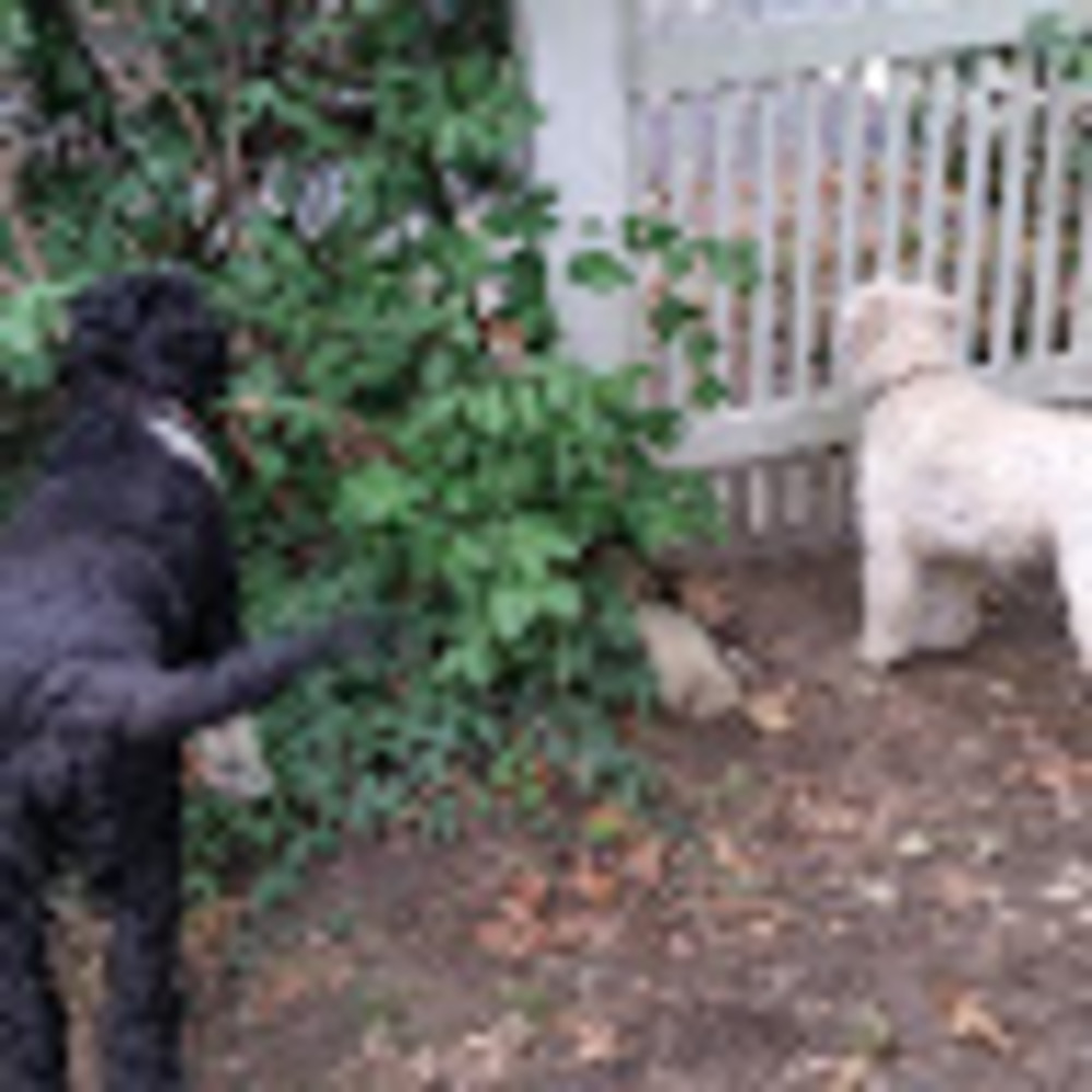 Meet your Posher, Kathy